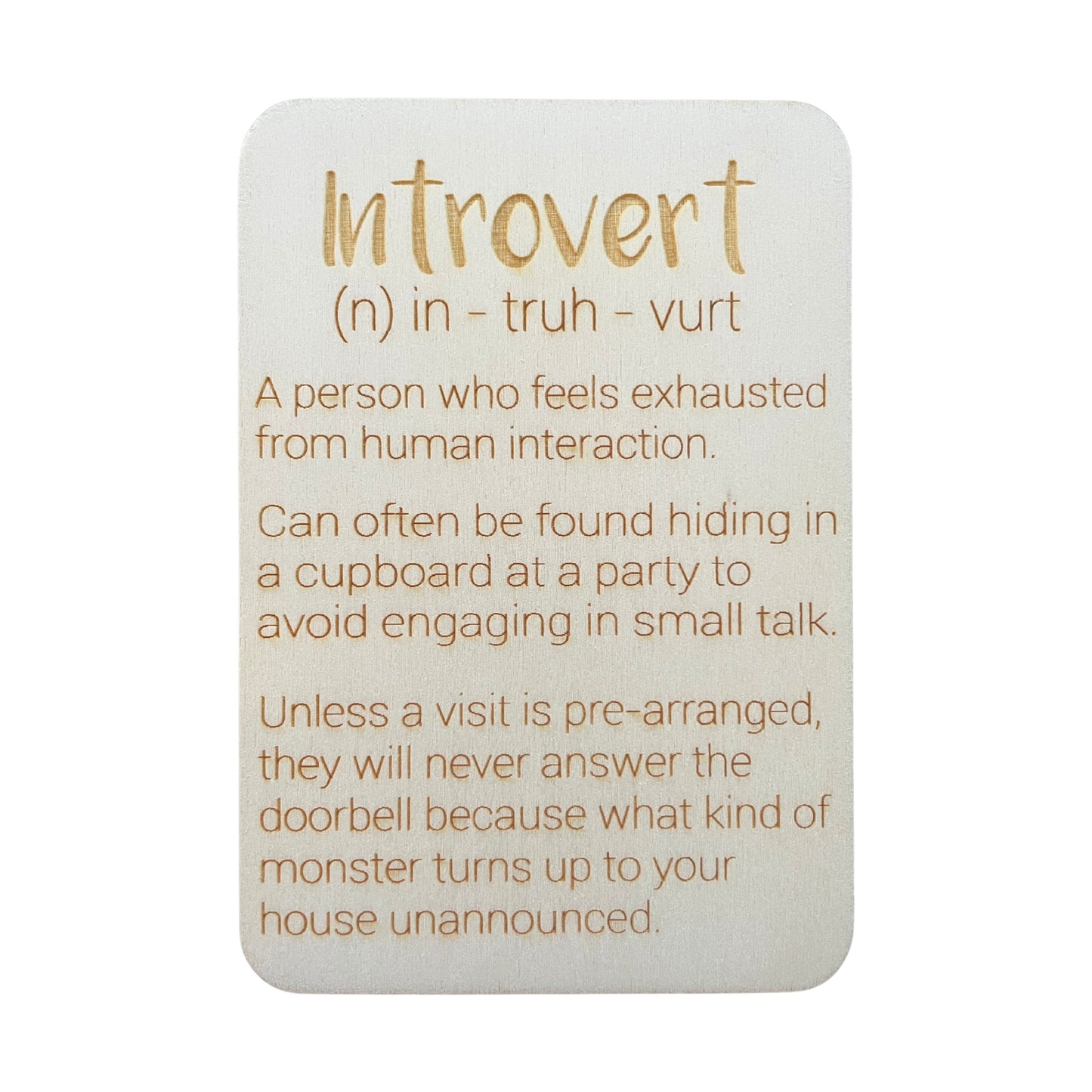 Introvert (n)