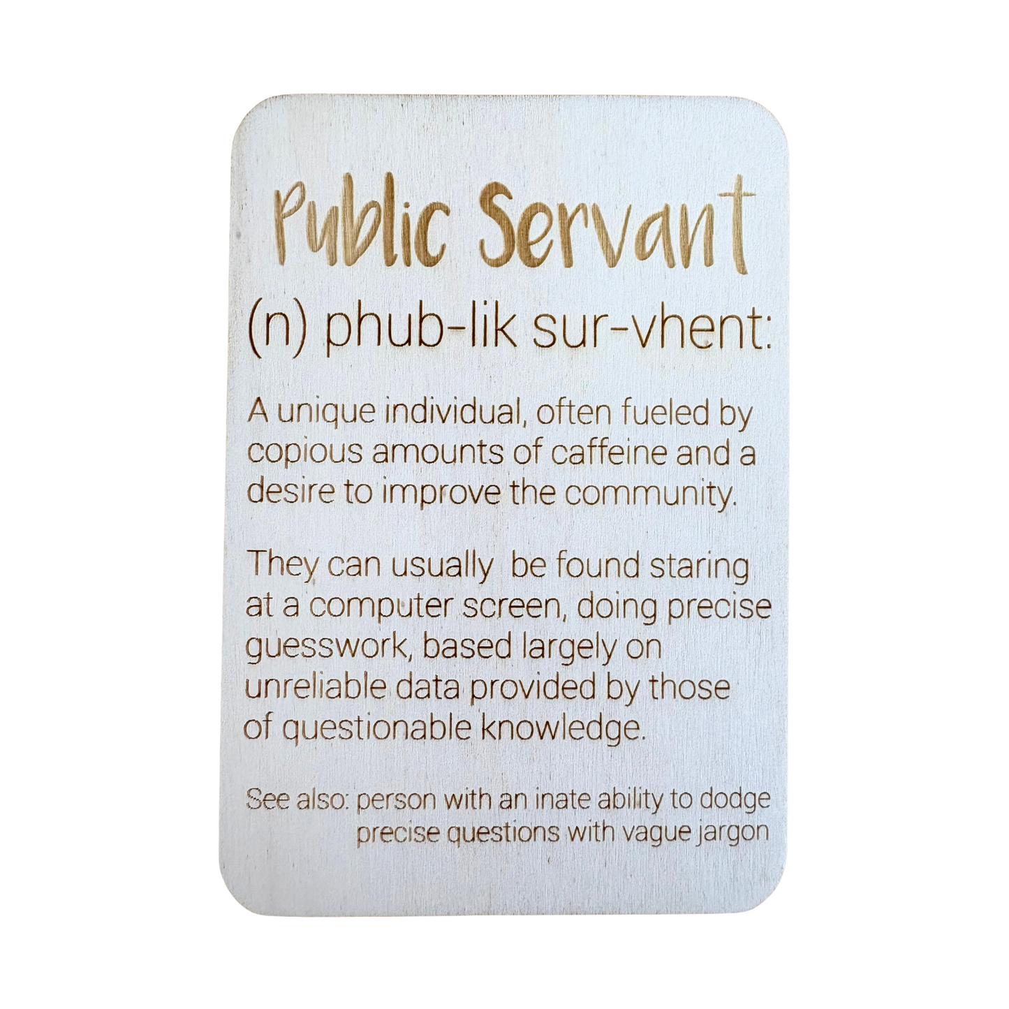 Public Servant (n)