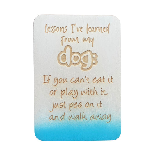 Lessons I've Learned From My Dog